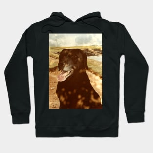 BLACK LABRADOR Hoodie